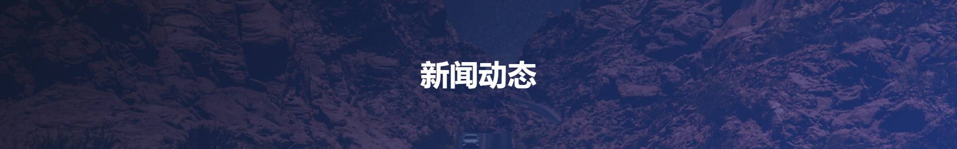 新闻动态